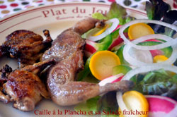 Recette Caille à la Plancha et Salade fraîcheur